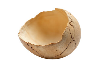 A broken eggshell on a white surface, often used as a symbol or metaphor