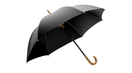 Elegant Black Umbrella with Gold Accents on Transparent Background