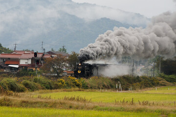  黒煙を上げて田園を駆けるSLやまぐち号