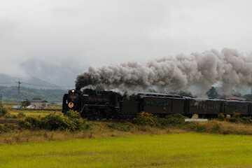  黒煙を上げて田園を駆けるSLやまぐち号