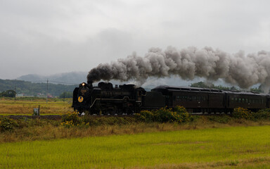 霧の山並みに響く蒸気機関車の鼓動