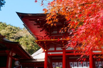 文化と季節が織りなす神域の風景