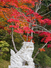  石獅子が見守る紅葉の風景