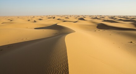 地平線の彼方まで続く果てしない砂漠の絶景 穏やかな朝の黄金色の光がなだらかな砂丘の波紋と長く伸びる影を鮮やかに描き出す. AI Generated