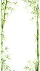 Bamboo Border Frame