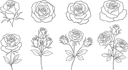 Elegant hand-drawn rose illustrations in black and white, perfect for design
