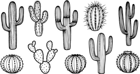 Hand-drawn cactus illustrations in black and white, perfect for design projects
