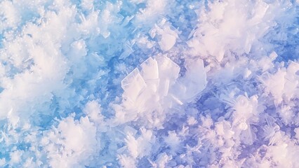 Stunning panorama of snowy landscape in winter in Black Forest - winter wonderland snow, Panorama of beautiful winter park
