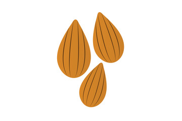 Almond nut icon, almond line icon nut, tasty almond nut icon.