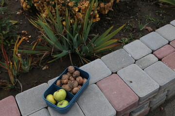 Fresh fruits and nuts on a blue tray placed on a garden stone path during daylight in a home garden