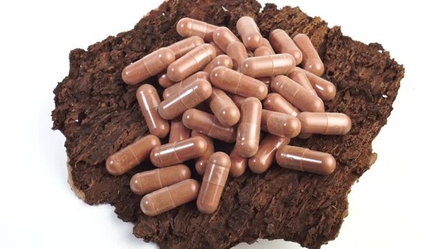 Pinebark capsules as supplement on pine bark with bottle isolated on white background