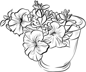 Hand drawn petunia bouquet in pot vector