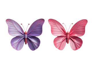 A pair of colorful butterflies sit side by side, showcasing their vibrant colors