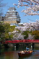 姫路公園の桜。姫路、兵庫、日本。４月上旬。