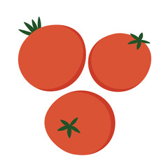 Tomato on white background. Vector illustration of fresh tomato.
