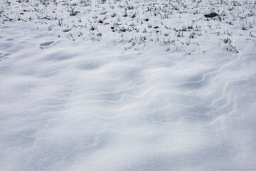 zima, śnieg, puch, biel, lód, mróz, kryształki, biało, ślady, © Estera