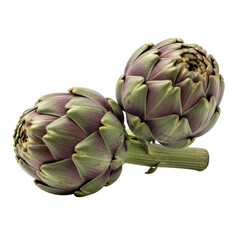 Fototapeta premium Two fresh artichokes with detailed textures and purple green hues are beautifully displayed on transparent background