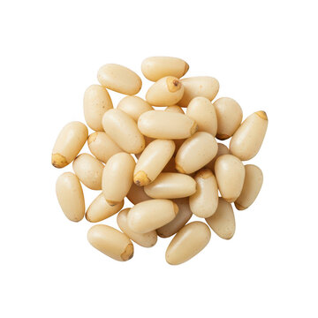 A close up view of a pile of fresh pine nuts showcasing their natural shape and texture on transparent background