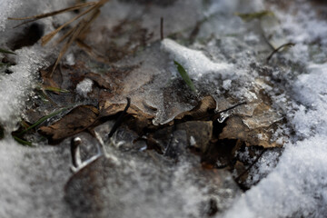 zima, śnieg, puch, biel, lód, mróz, kryształki, biało, ślady, © Estera