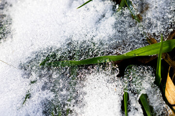 zima, śnieg, puch, biel, lód, mróz, kryształki, biało, ślady, © Estera