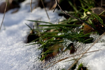 zima, śnieg, puch, biel, lód, mróz, kryształki, biało, ślady, © Estera