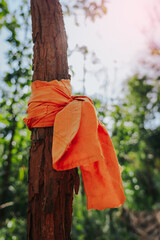 A wooden structure decorated with orange fabric; a cultural belief or ritual; the ordination of trees.