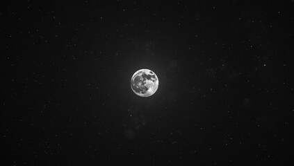 lunar light in darkness