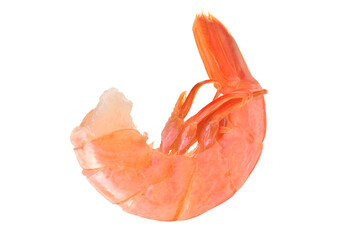 Fresh shrimps isolated