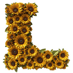 Top view of a 3D letter L made of Sunflowers flower isolated on a white transparent background