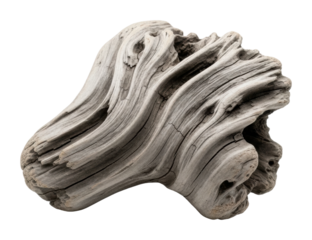 Driftwood display nature decorative piece organic aesthetic isolated on transparent background