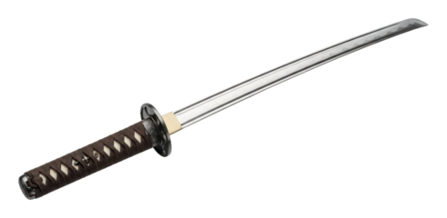 Martial arts demonstration japan sword cultural precision isolated on transparent background