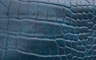 Blue crocodile leather texture close up