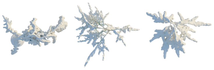 Cedrus atlantica Glauca Pendula tree plan, top view, cutout, transparent background, isolate, Frosted Branch with Snow and Ice Crystals – Winter Season Illustration