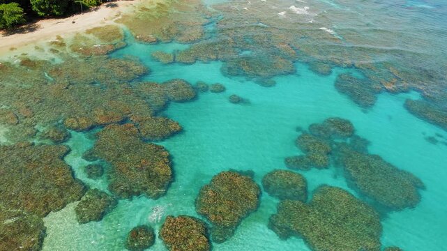 Aerial view of turquoise ocean with reef pools forming organic shapes