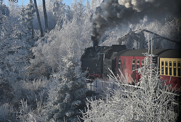 Dampfzug im Winterwald