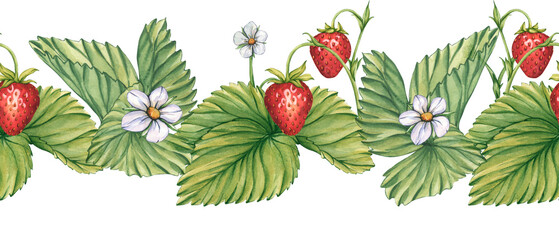 Seamless strawberry border. A horizontal pattern of ripe red strawberries, green leaves, and white flowers. A watercolor seamless illustration of red berry branches for tea, jam, and cosmetic labels © Irina