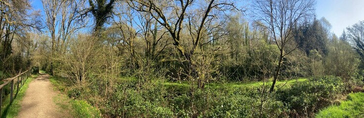 La campagne du Stangala pr&egrave;s de Quimper en Cornouailles Bretagne