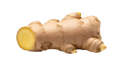 Vibrant green square of grass