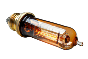 Classic Filament Light Bulb with Visible Internal Elements