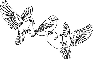 Continuous Line Art Three Bird Poses Flying Illustration