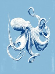 Octopus swimming gracefully in a blue underwater scene with many tentacles moving freely