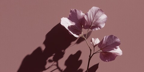 Light casts shadows on a pink leaf branch against a smooth backdrop in an indoor setting during daytime