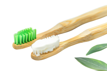 Environmentally Conscious Toothbrush Set for Oral Health