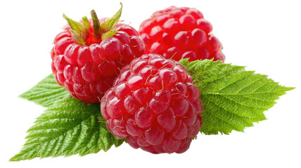Fresh ripe red raspberry with a green leaf isolated on a white background, a sweet healthy juicy summer fruit macro shot of delicious organic berries