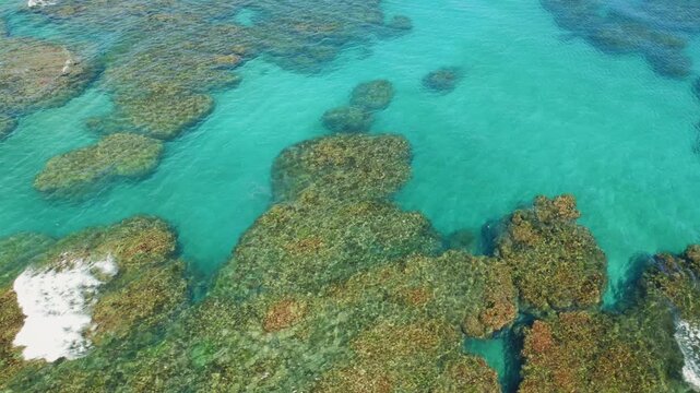 Coral reef formations seen through clear turquoise water in Caribbean coast of Costa Rica