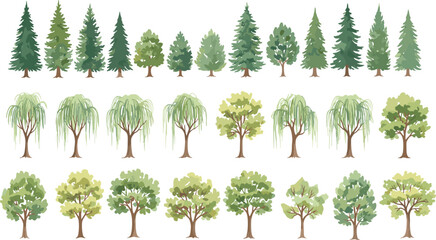 Tree illustration set, coniferous and deciduous trees, pine fir willow oak, foliage styles, landscape design, botanical vector icons