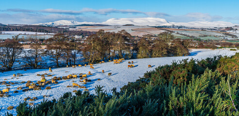 Daviot Church, Inverness, Scotland, UK