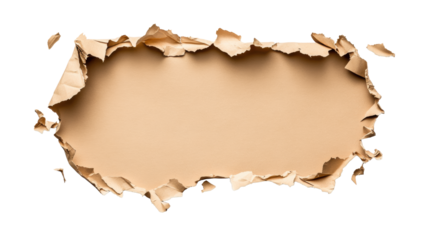 Torn Paper Frame on Transparent Background