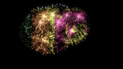 Sri Lanka Flag Fireworks Celebration Animation on Black Background, National Holiday Firework Effect, Independence Day Motion Graphics