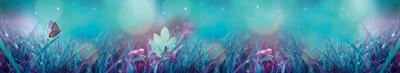 Magical spring meadow banner with blue butterfly on grass and sparkling bokeh background © MonTeArt
